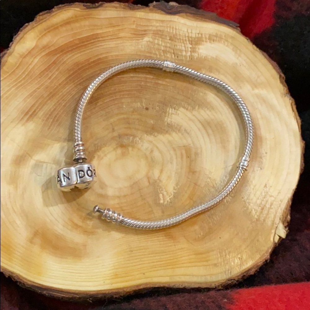 Pandora bracelet